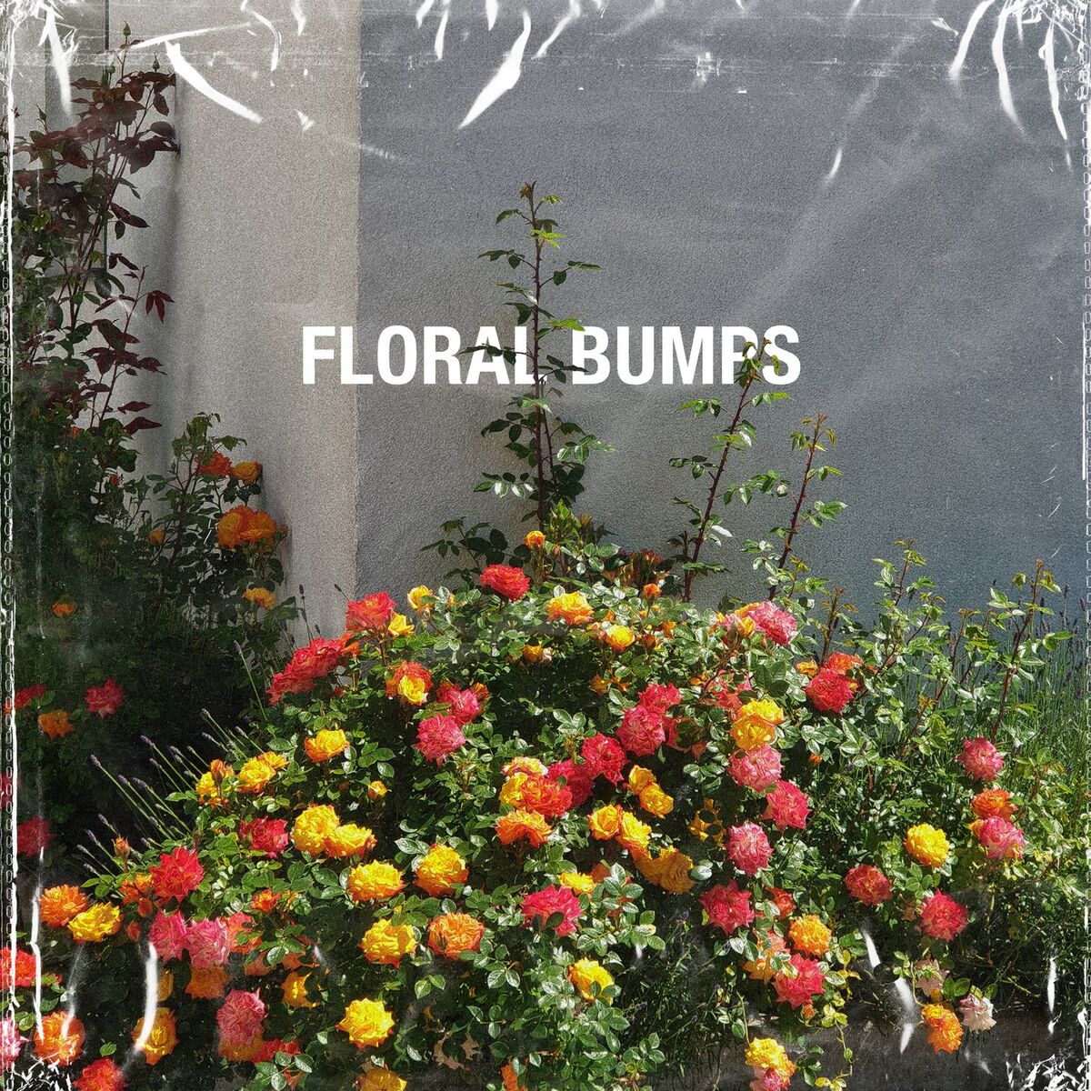 Album cover of foxglove
