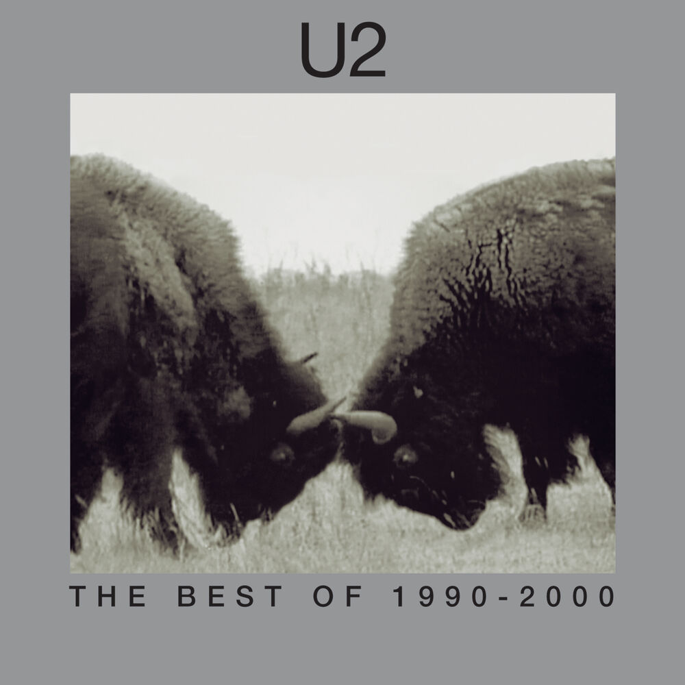 Picture of The Best Of 1990-2000 & B-Sides