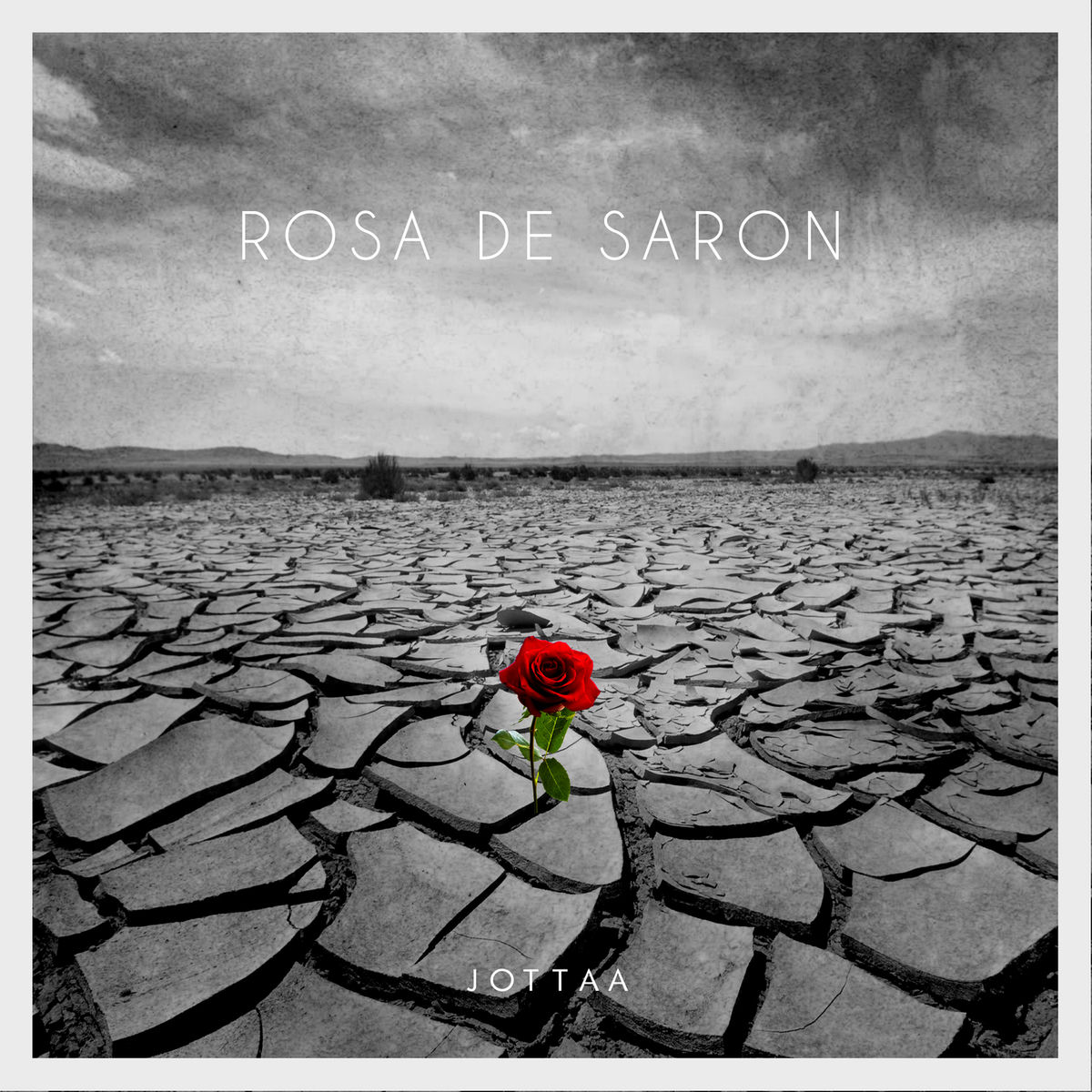Album cover of Rosa de Saron