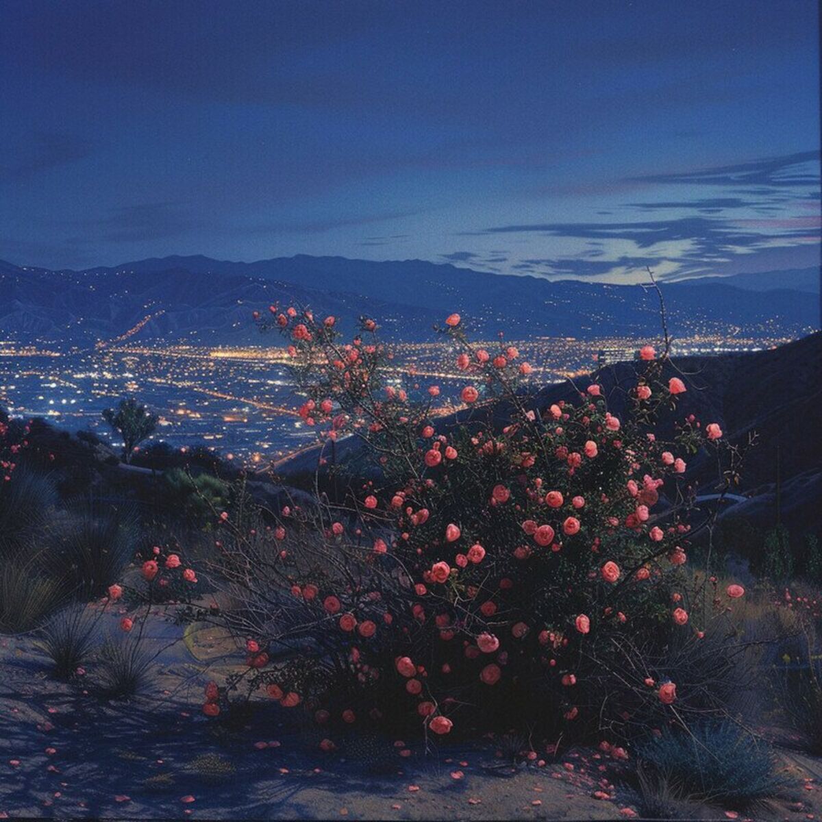 Album cover of choose me