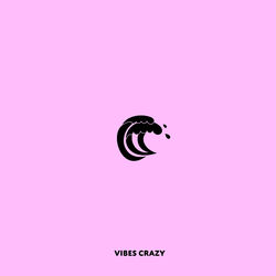 Cover of Vibes Crazy