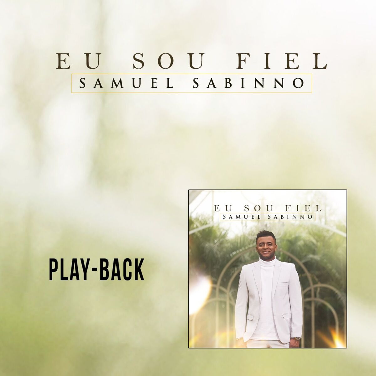 Album cover of Eu Sou Fiel (Playback)