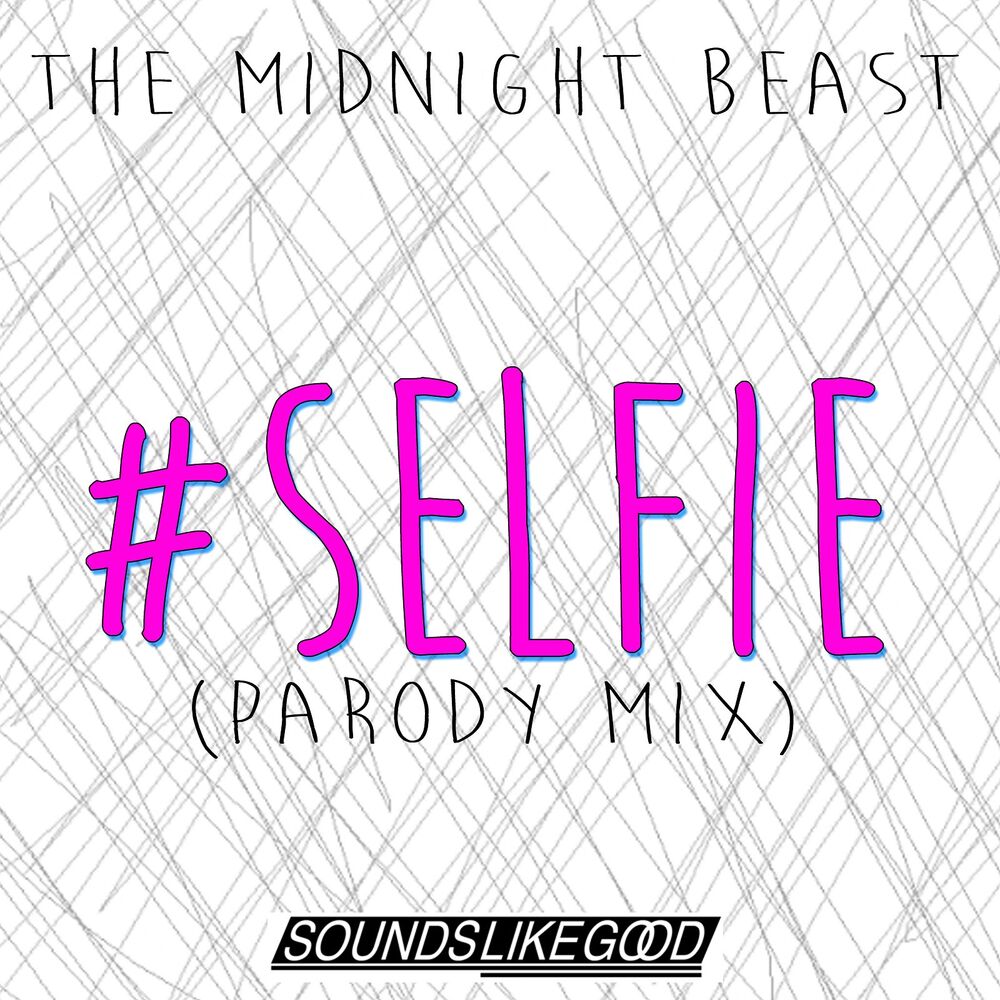 Picture of #Selfie (Parody)