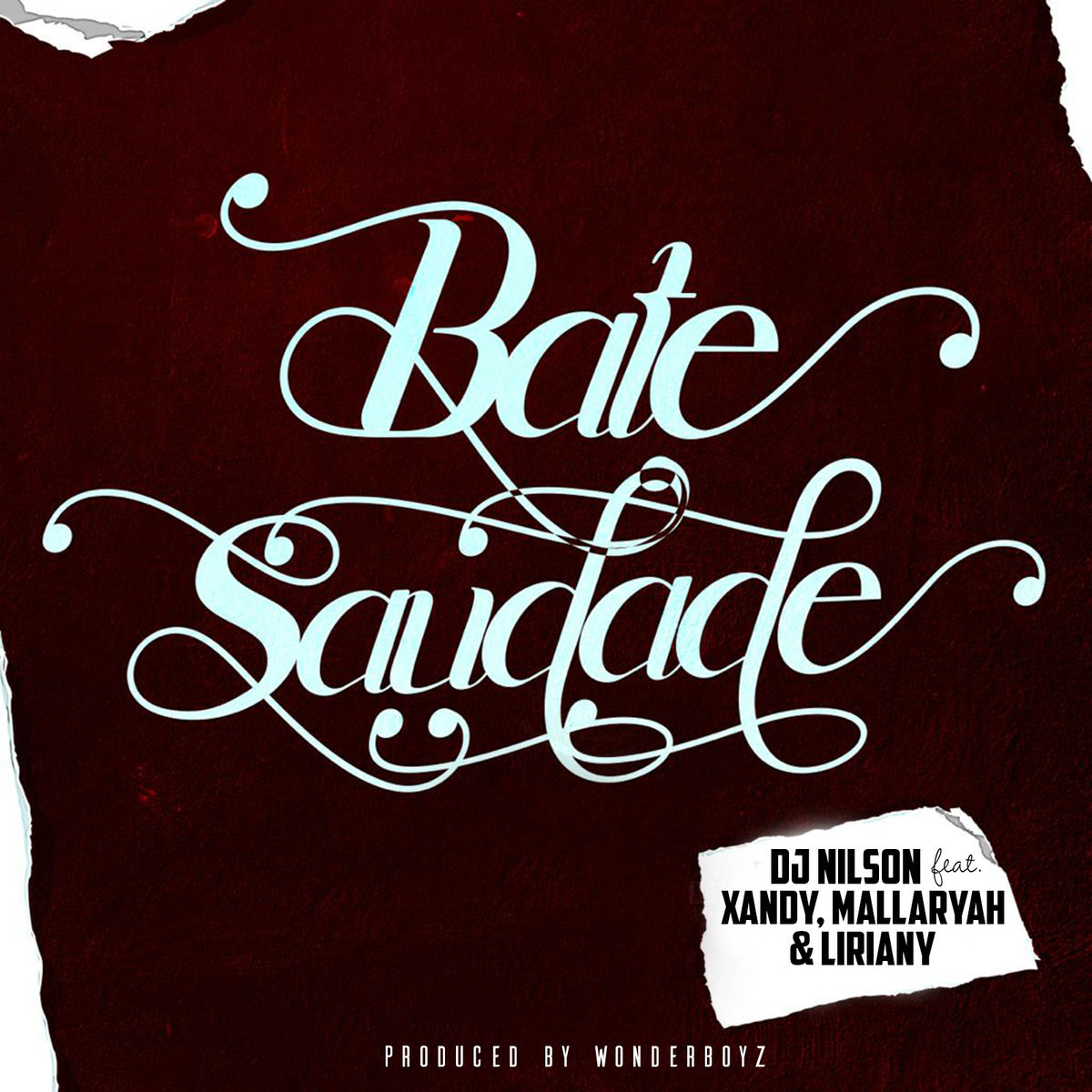 Album cover of Bate Saudade