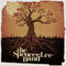 Kissing Tree by The Spencer Lee Band album cover