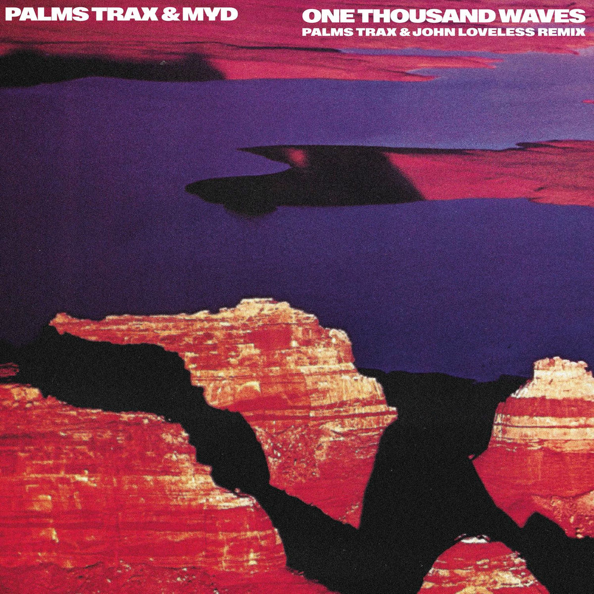 Album cover of One Thousand Waves (Palms Trax & John Loveless Remix)