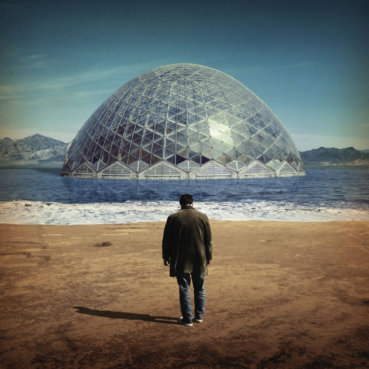 Album cover of Silver Joy