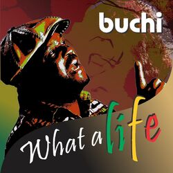 Cover of What a Life!