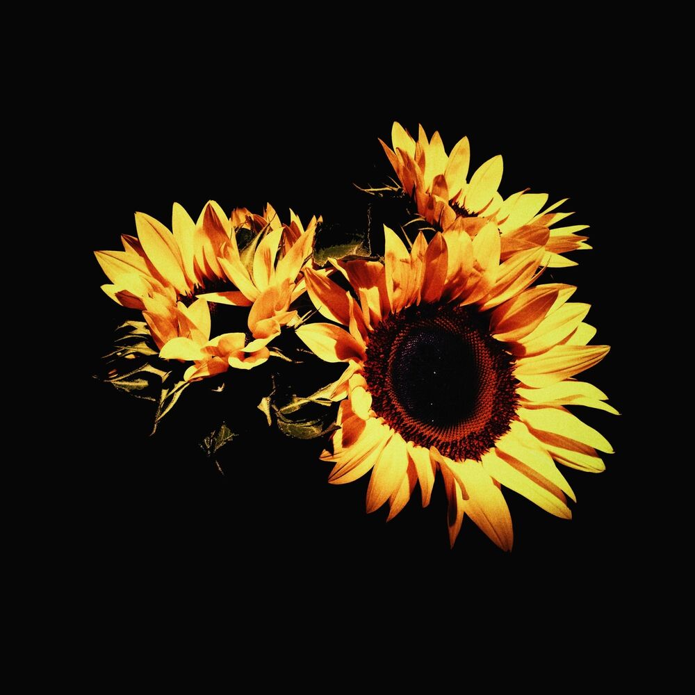 Picture of I Want to See You