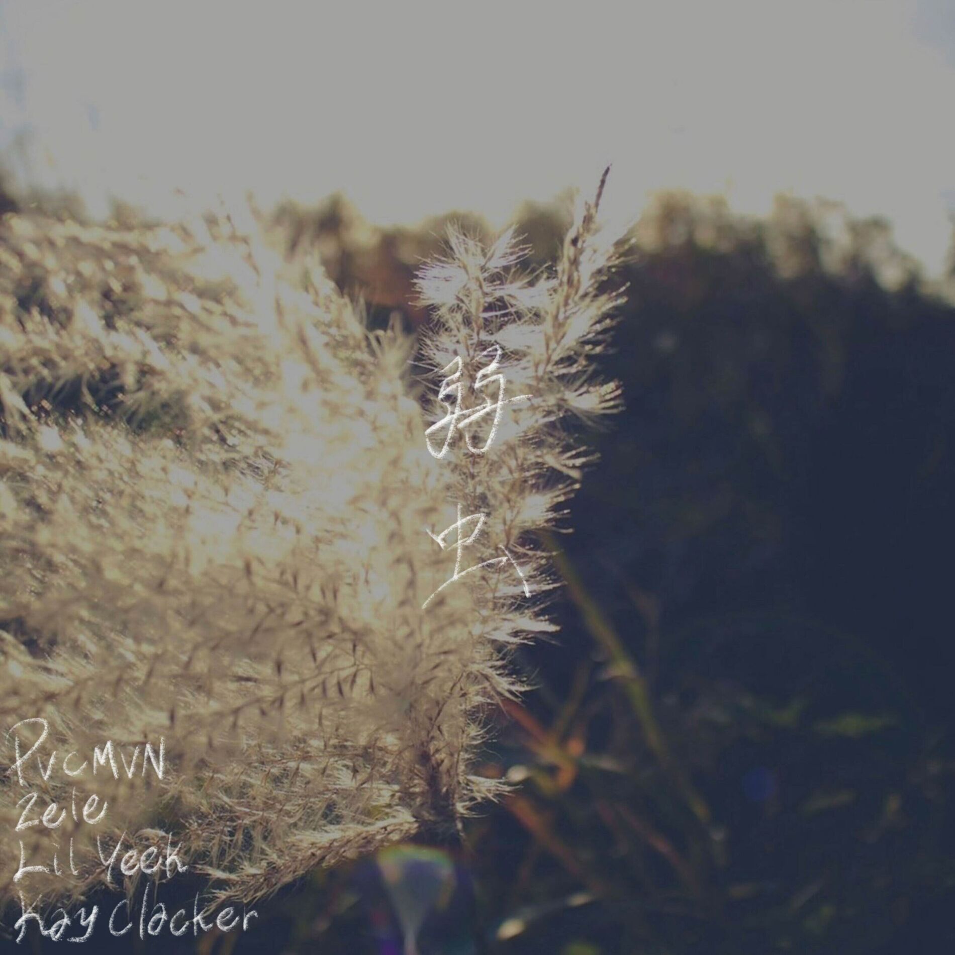 Album cover of YOWAMUSI (feat. ZELE & Lil Yeek)