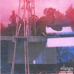 Cover of Slings