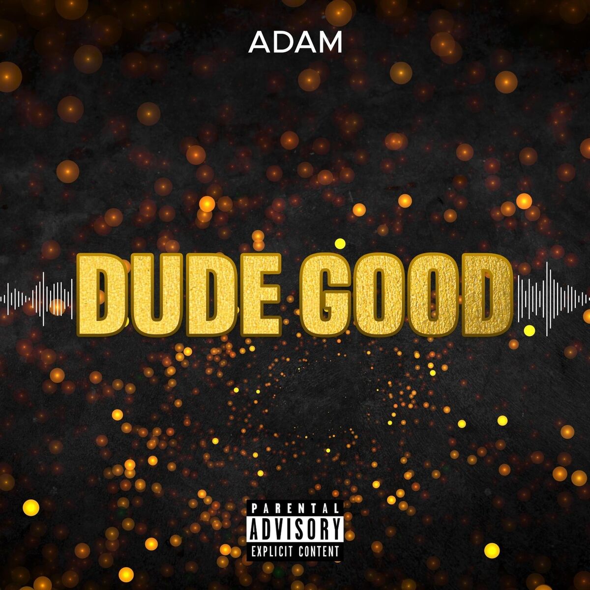 Album cover of Dude Good