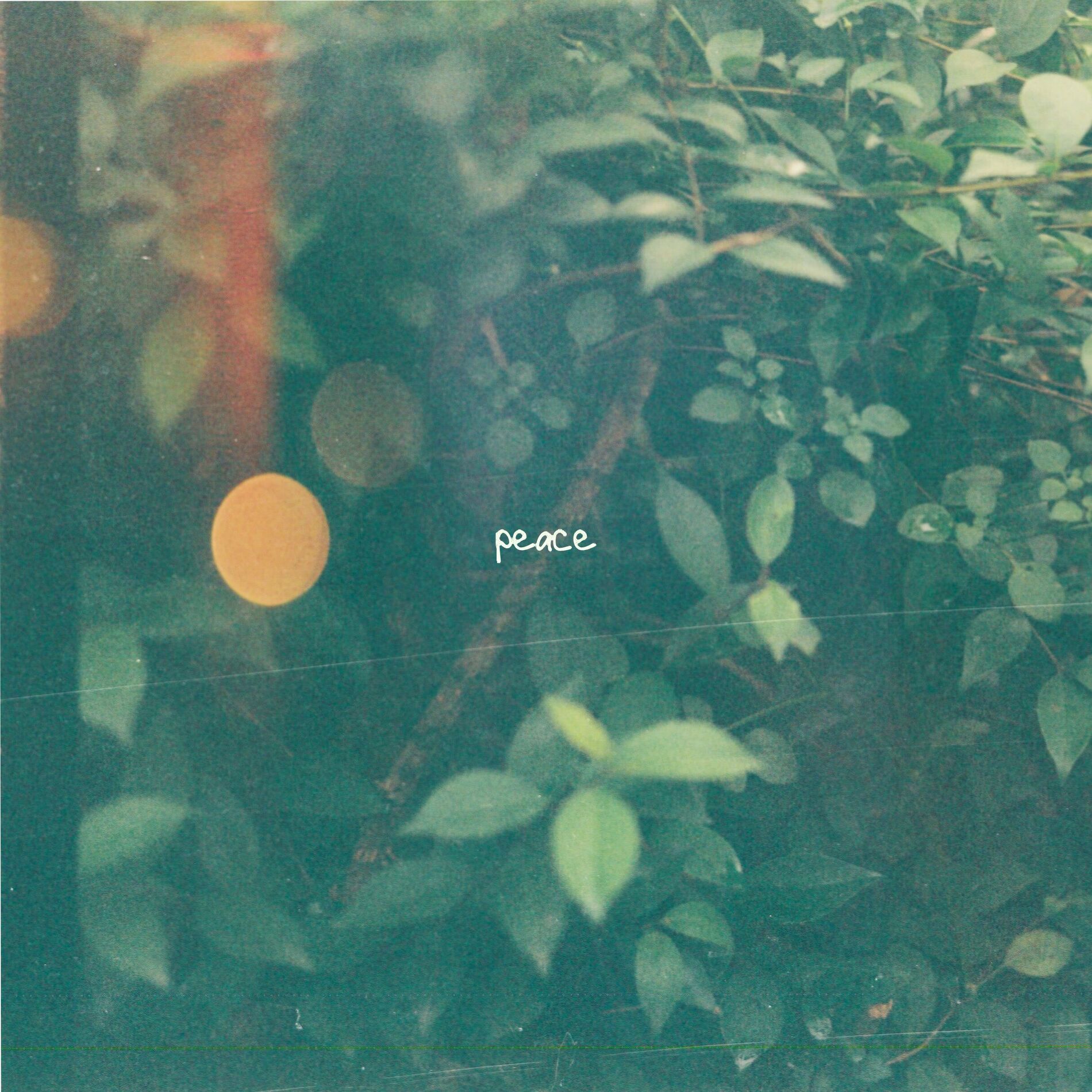 Album cover of Peace