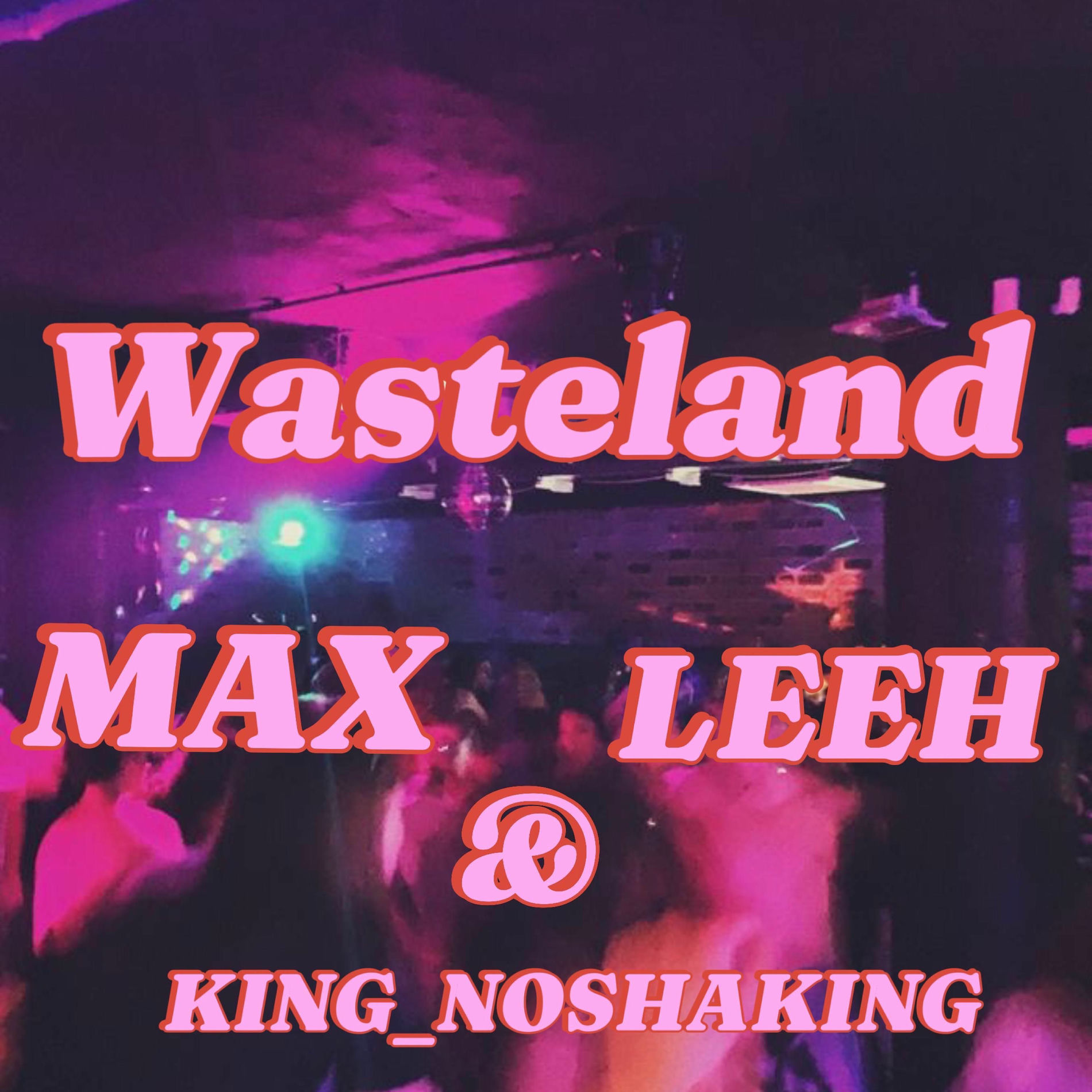 Album cover of WASTELAND (feat. Max & Leeh)