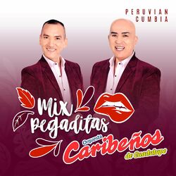Cover of Mix Pegaditas. Peruvian Cumbia