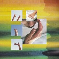 Cover of Nonmonogamy