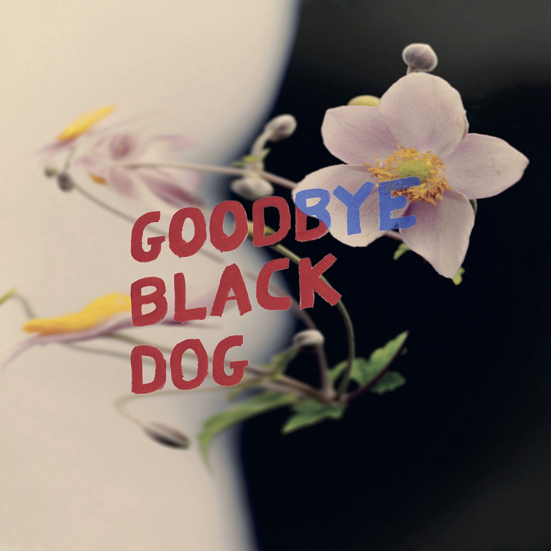 Album cover of Goodbye Black Dog