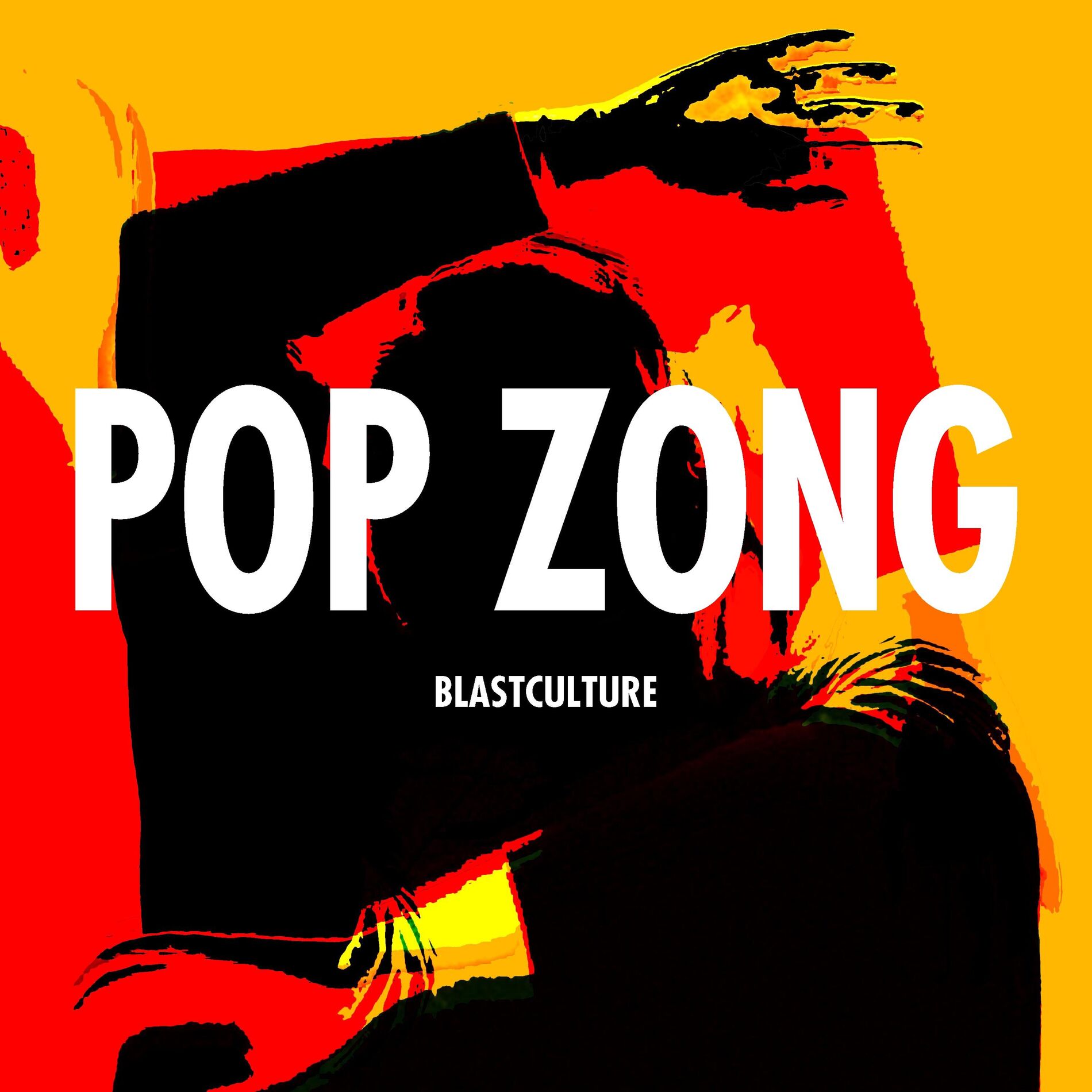 Album picture of Pop Zong
