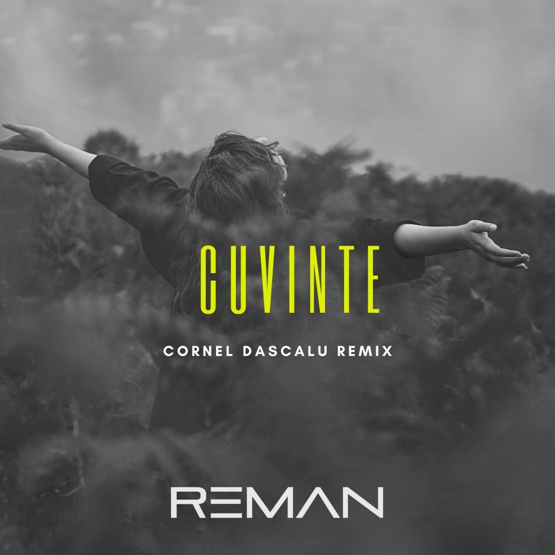 Album cover of Cuvinte