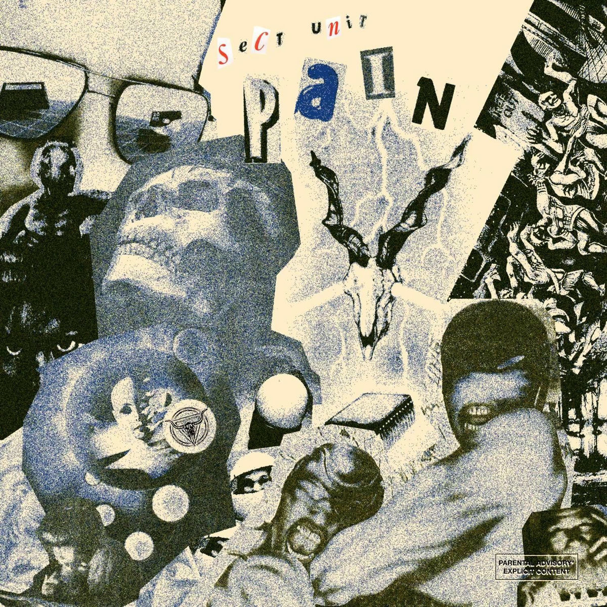 Album cover of Pain