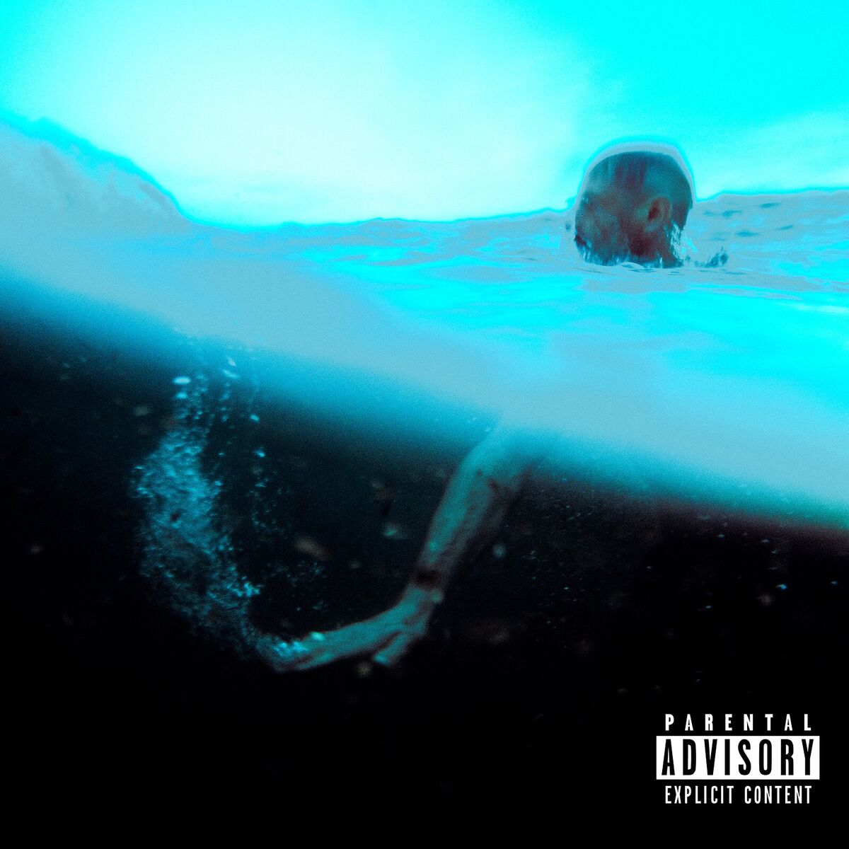 Album cover of A FORCE DE VIVRE