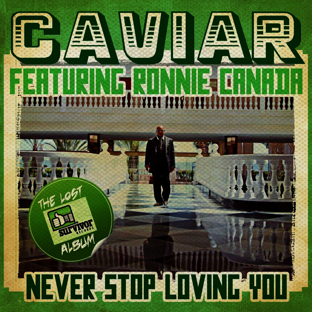 Picture of Never Stop Loving You (Digitally Remastered)