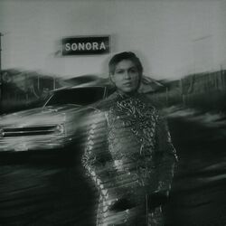Cover of TRASTORNADO