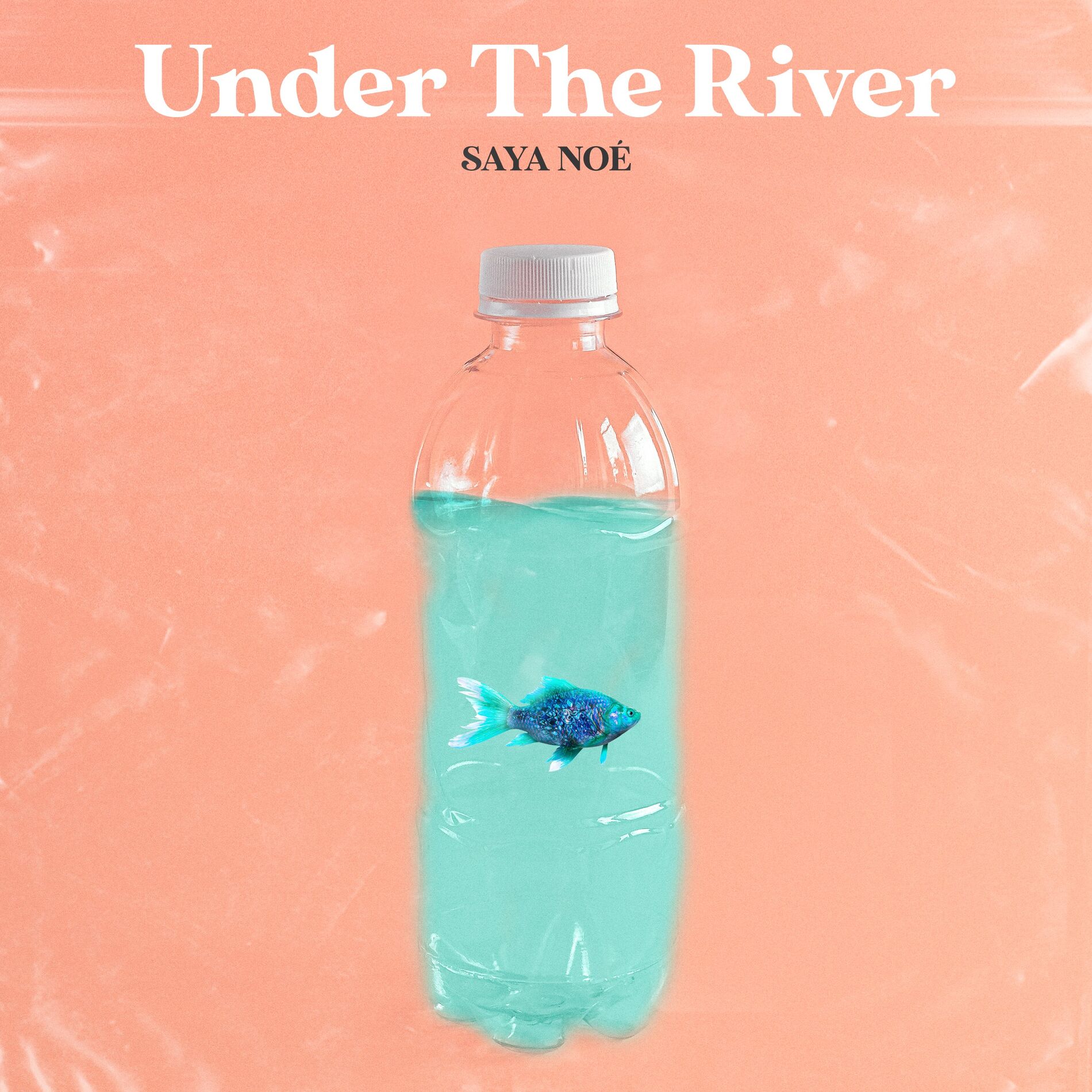 Album cover of Under the River