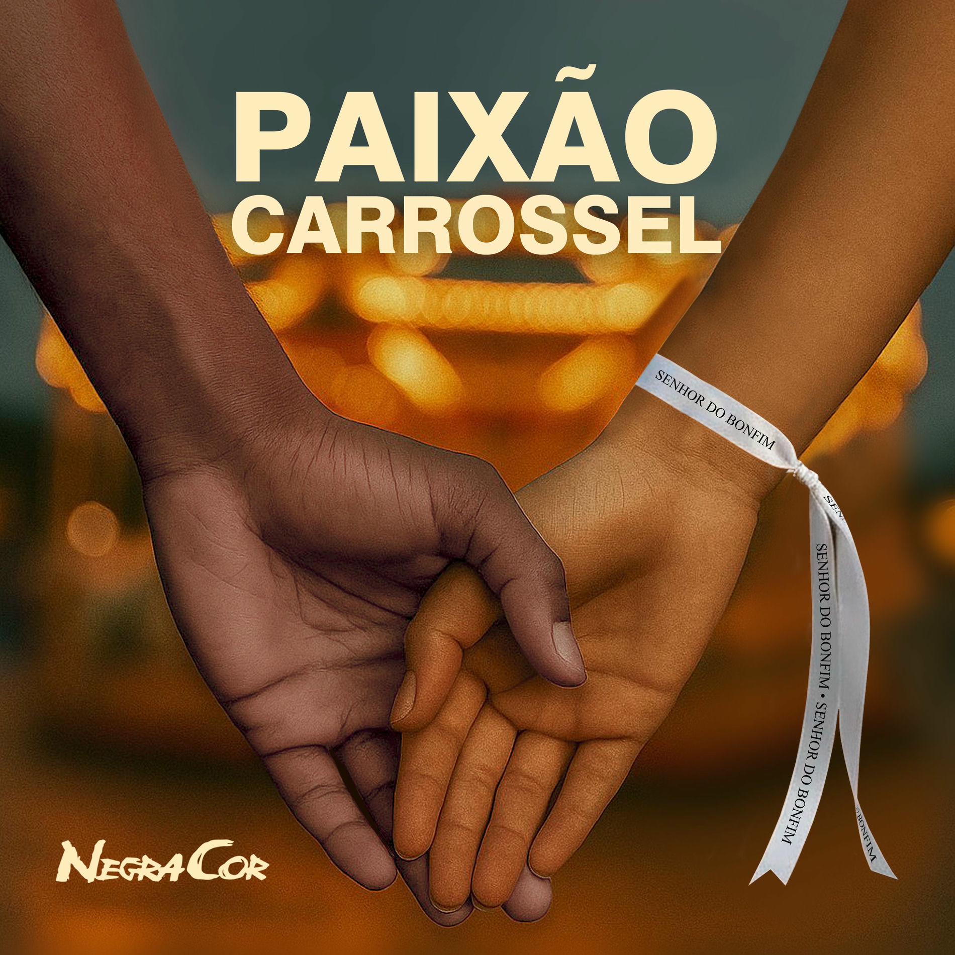 Album cover of Paixão Carrossel