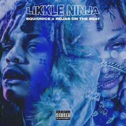 Cover of Likkle Ninja