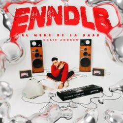 Cover of ENNDLB