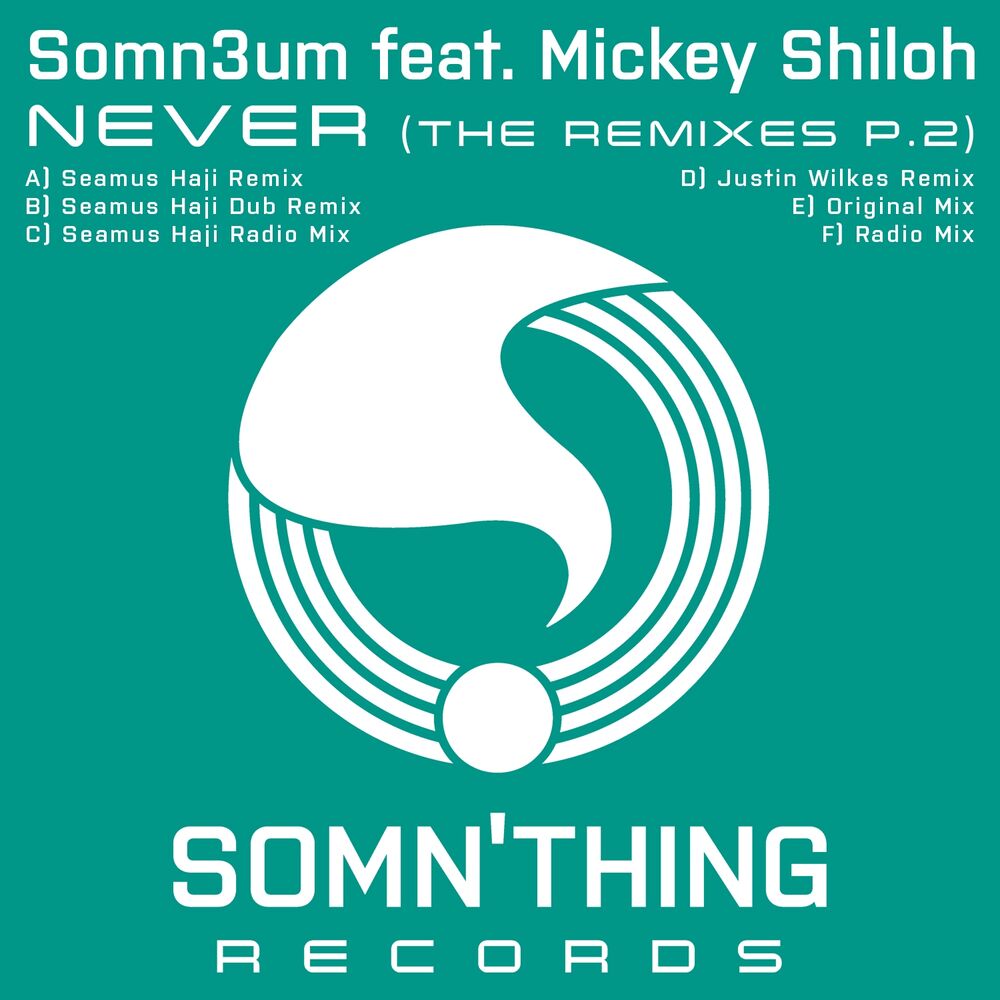 Picture of Never (Remixes, Pt. 2)
