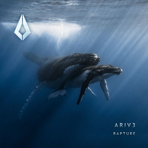 Rapture