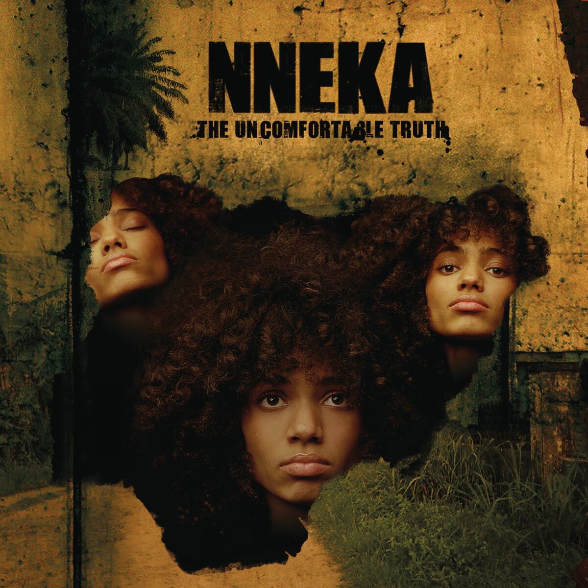Album cover of The Uncomfortable Truth