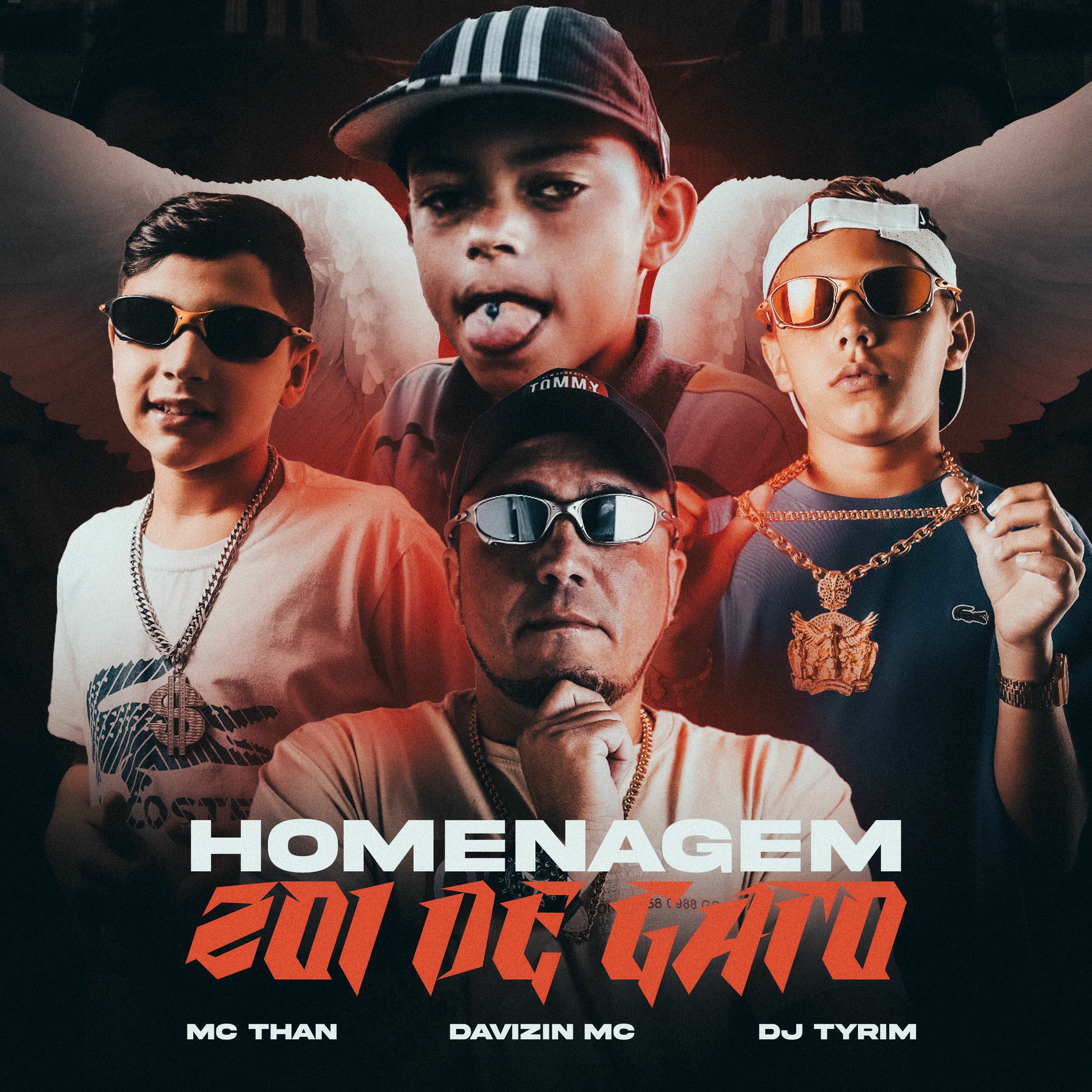 Album cover of Homenagem Zoi de Gato