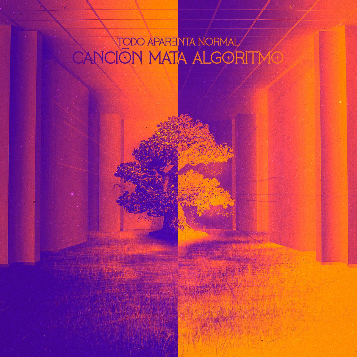 Album cover of Canción mata algoritmo