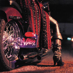 Cover of Vixen