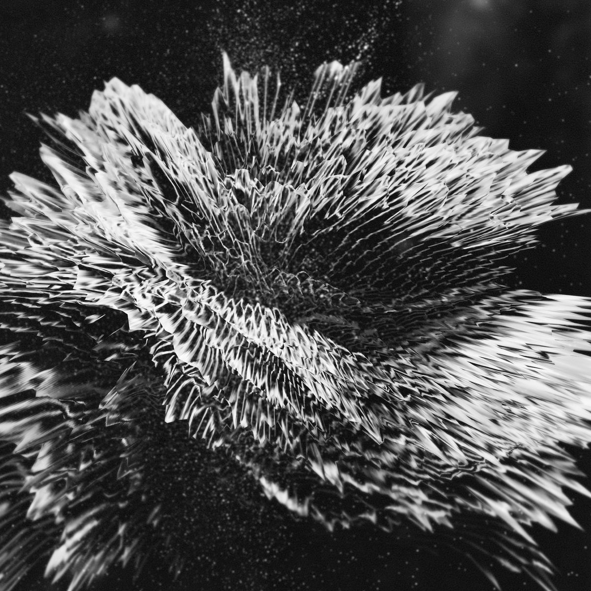 Album cover of Cannon Seeker