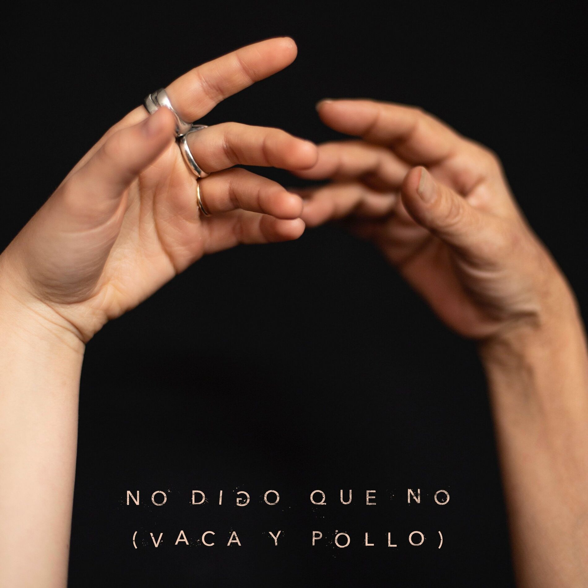 Album cover of No digo que no (vaca y pollo)