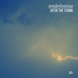 Cover of After the Storm