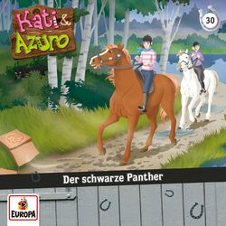 Cover of 030/Der schwarze Panther