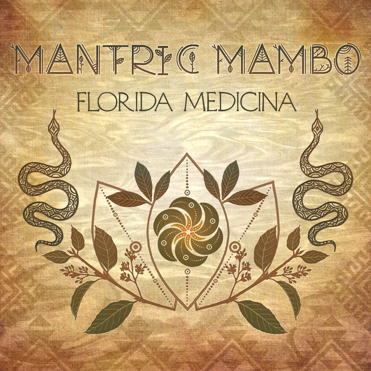Album cover of Florida Medicina
