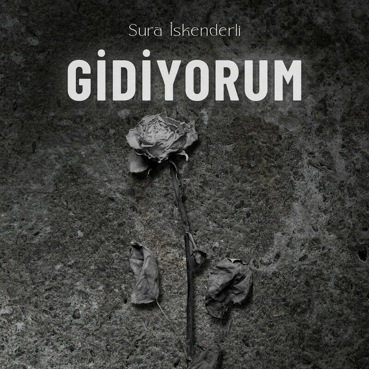 Album cover of Gidiyorum
