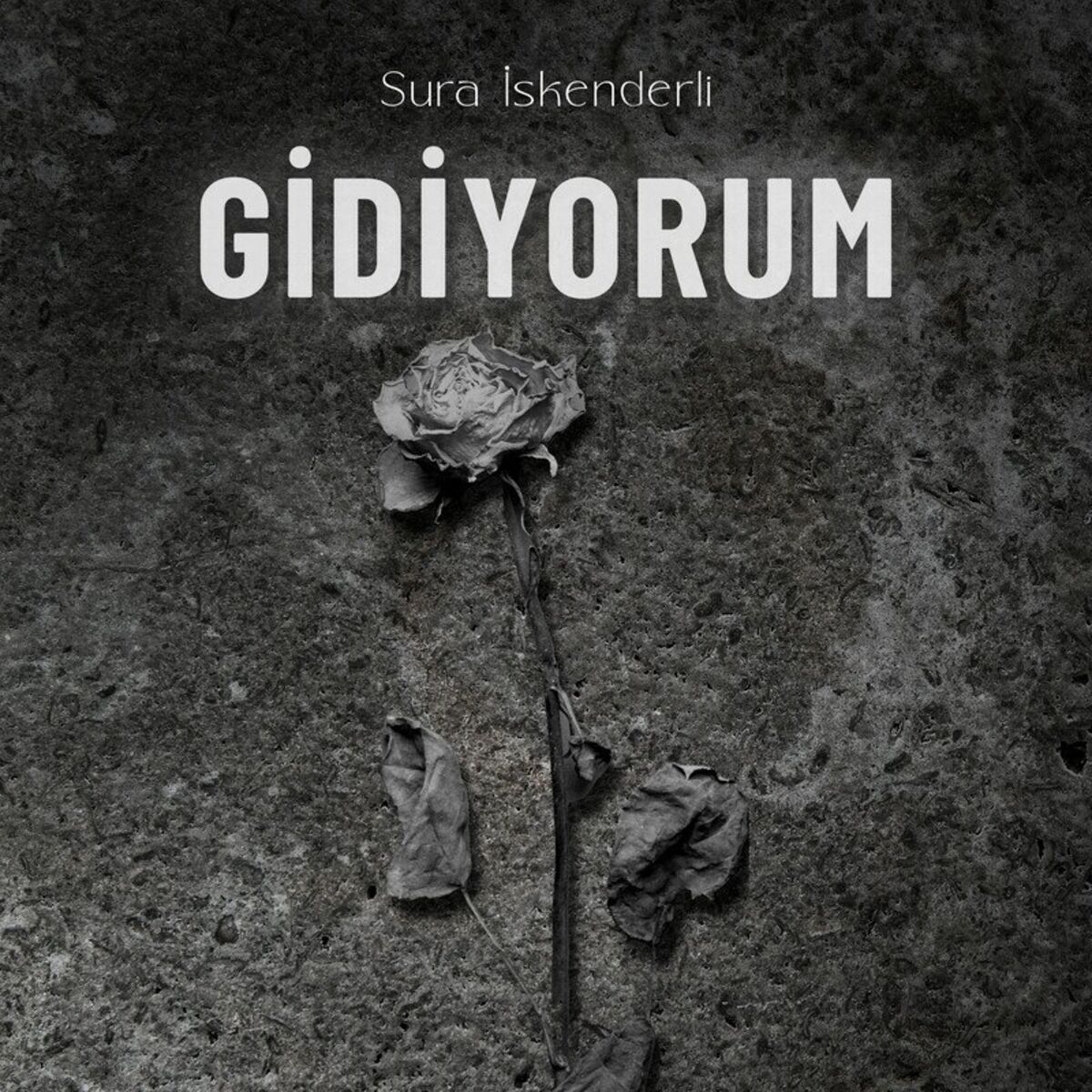 Album cover of Gidiyorum