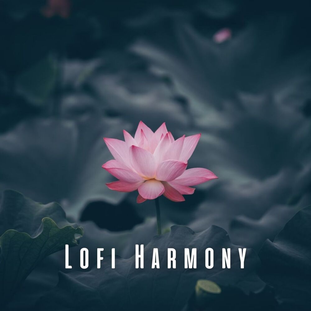 Picture of Lofi Harmony: Serene Chill Music for Mindful Meditation