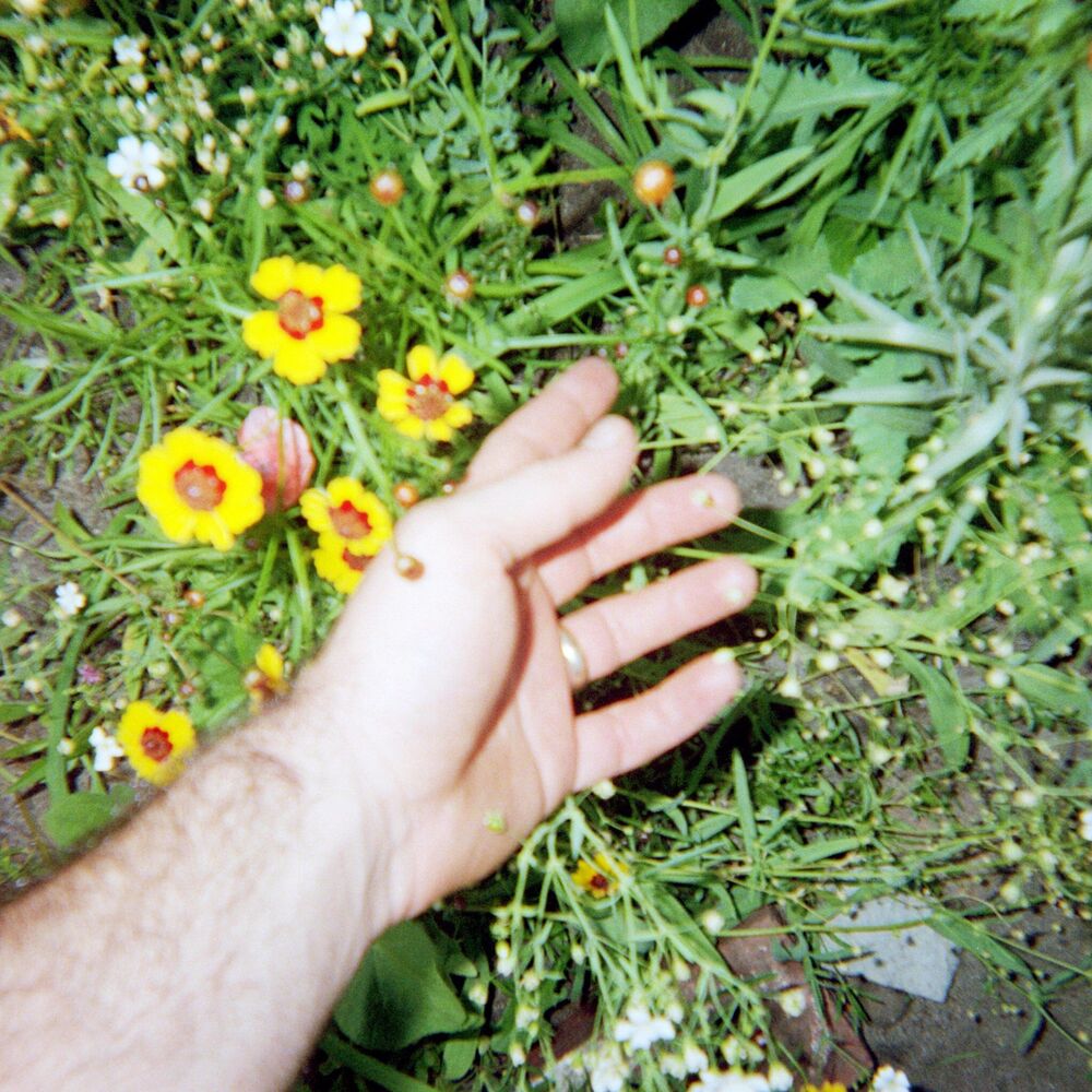 Picture of Drenched In Summer