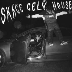Cover of Skáče Celý House