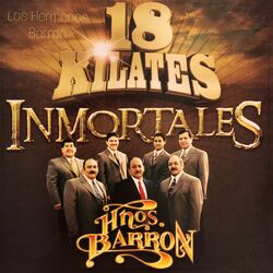 Cover of 18 Kilates Inmortales