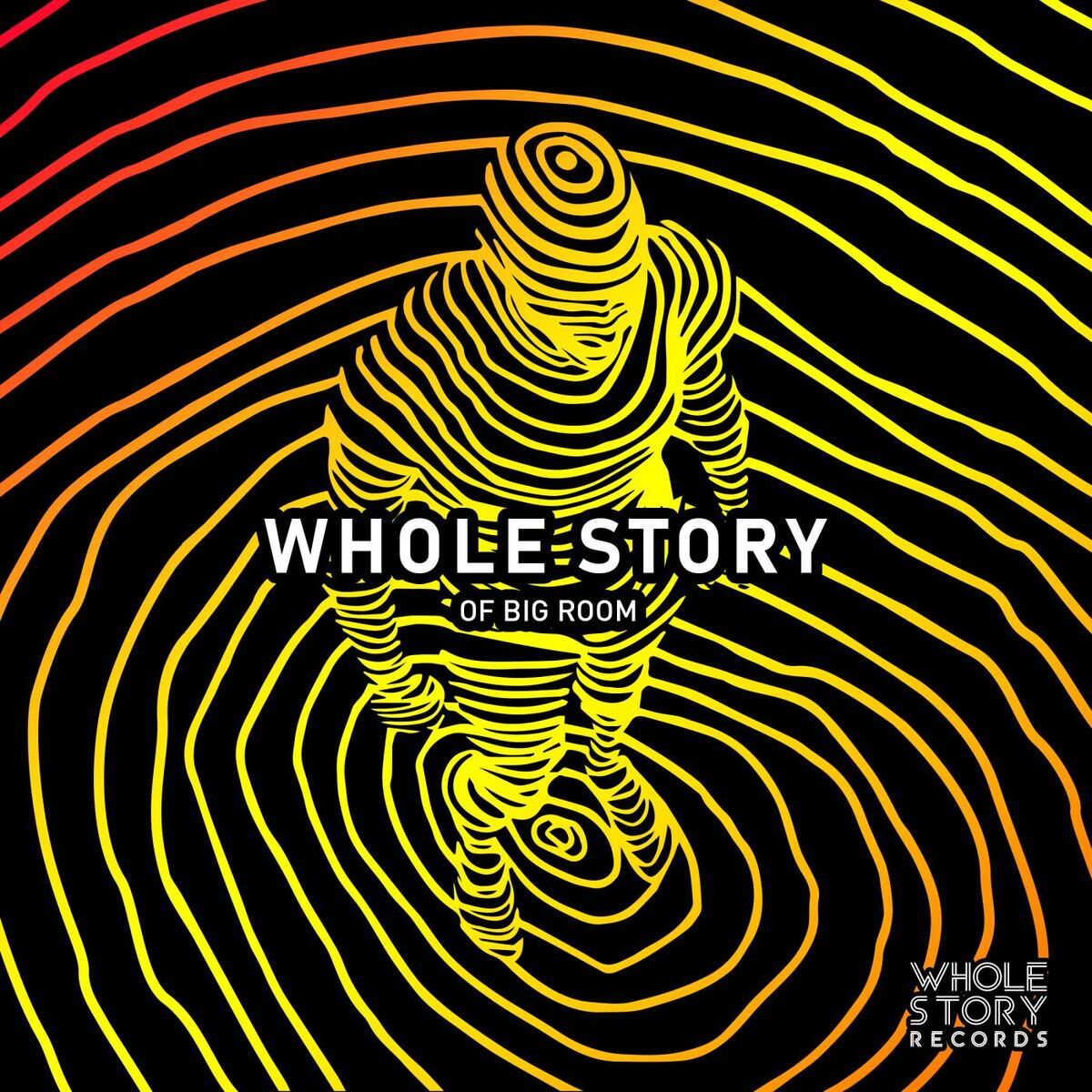 Album cover of Whole Story Of Big Room