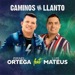 Cover of Caminos De Llanto